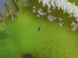 armadylean or bandosian guard|25 03 29 22 .